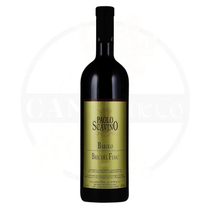 1995 Paolo Scavino Bric del Fiasc 750ml