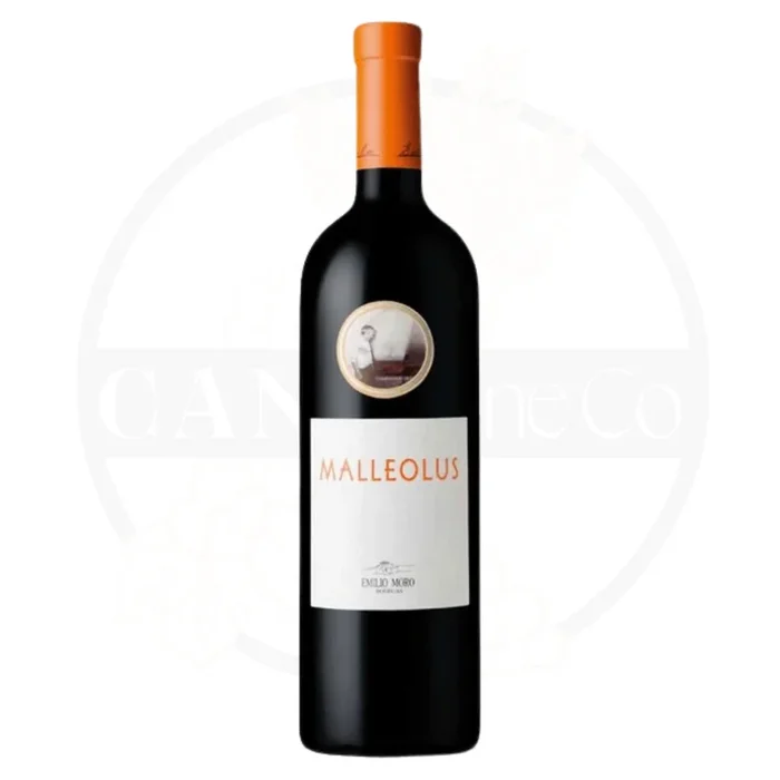 2006 Bodegas Emilio Moro Malleolus 750ml