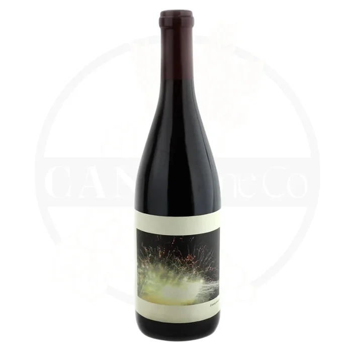 2019 Chanin Los Alamos Vineyard Pinot Noir 750ml