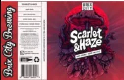 Beer Brix City 4pk Scarlet & Haze IIPA