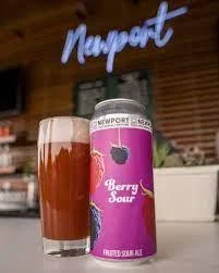 Beer RI Newport Craft 4pk Berry Sour