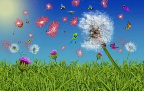 Beer Tox Brewing Co 4pk Riwaka Pollen