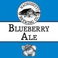 Beer Wachusett Brewing Co. 12pk Can Blueberry 08413