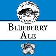 Beer Wachusett Brewing Co. 6pk Blueberry