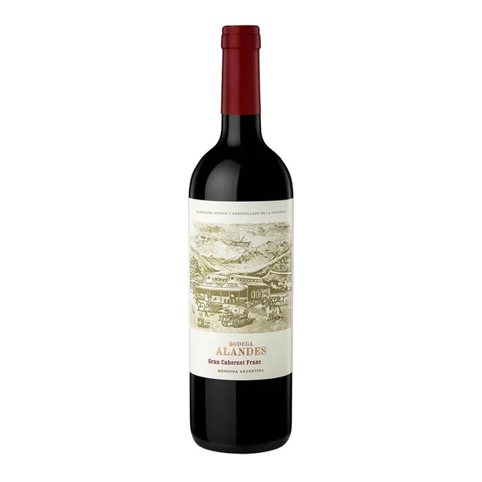 Bodega Alandes Gran Cabernet Franc 2019 75cl