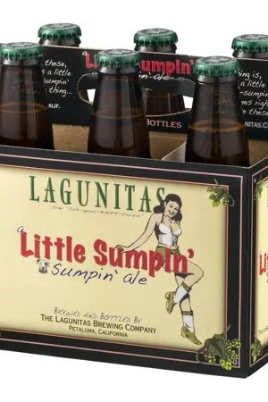 Lagunitas A Little Sumpin’ 6pk