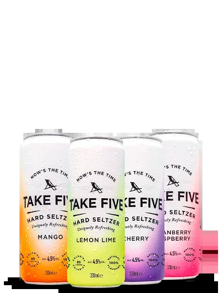 TAKE FIVE Hard Seltzer Variety 12-Pack (4.26L)