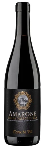 Terre Di Bo Amarone della Valpolicella 2020 750ML