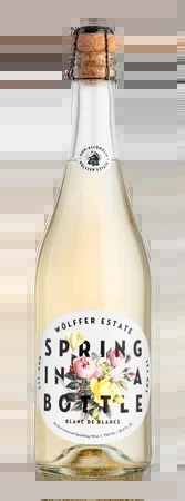 Wölffer Estate Spring in a Bottle Blanc de Blanc Sparkling NA – NV (750ml)